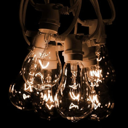 Hometown Evolution, Inc. Commercial Grade Vintage Edison Outdoor String Lights (PS50 Clear - Commercial White Wire, 100 ft)