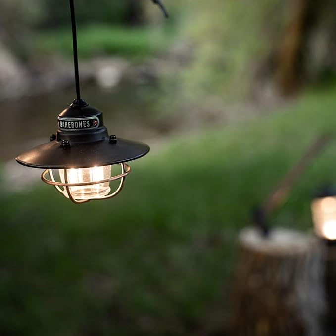 Barebones Edison Pendant String Lights - Antique Bronze, 3 Edison-Style LED Bulbs with 10-Foot Cord, Energy-Efficient Outdoor Lanterns for Patio, Garden, or Indoor Decor