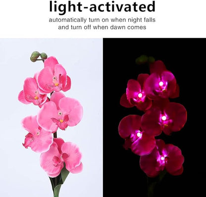 Yosoo Garden Solar Lights Moth Orchid Shape Solar Light-Activated LED Pathway Light for Lawn Garden Courtyard