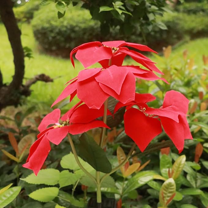 Mobestech 2Pcs Christmas Garden Solar Lights Outdoor Solar Poinsettia Yard Stake Floor Ground Insert Light Holiday | Lumora