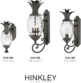 Hinkley Plantation Large Wall Mount Outdoor Lantern - Aluminum, Clear Optic Glass Shade, Pineapple Theme - Museum | Lumora