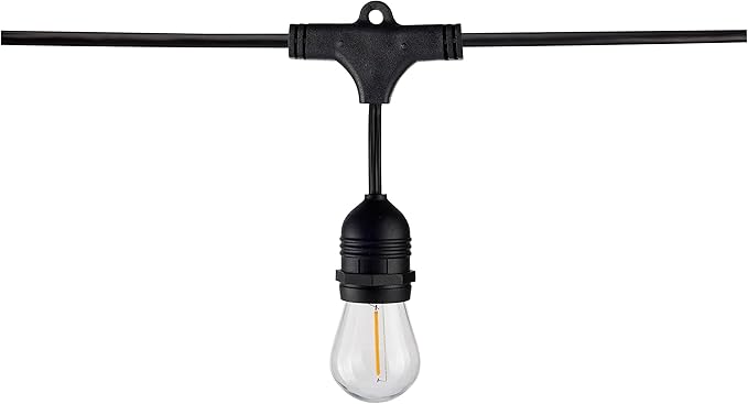 Satco S8030 LED Indoor/Outdoor String Lights, Black, S14 Bulbs, 24 Feet (Pack of 1)