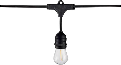 Satco S8030 LED Indoor/Outdoor String Lights, Black, S14 Bulbs, 24 Feet (Pack of 1)