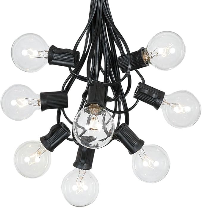 G40 Patio String Lights with 25 Clear Globe Bulbs - Hanging Garden String Lights - Vintage Backyard Patio Lights - Outdoor String Lights - Market Cafe String Lights - Black Wire - 25 Foot