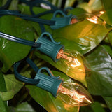 GOOTHY 25 Pack C7 Clear Christmas Light Bulbs, C7 Incandescent Christmas Replacement Lights Bulbs for Outdoor | Lumora