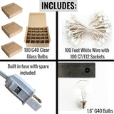Hometown Evolution, Inc. 100 Foot G40 Globe String Lights with Clear Bulbs (100 Foot - White Wire) for Weddings | Lumora