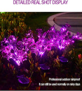4 Pack Solar Garden Lights Phalaenopsis, Outdoor Waterproof IP65, Purple Light, for Gardens, patios, courtyards | Lumora