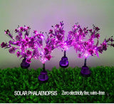 4 Pack Solar Garden Lights Phalaenopsis, Outdoor Waterproof IP65, Purple Light, for Gardens, patios, courtyards | Lumora