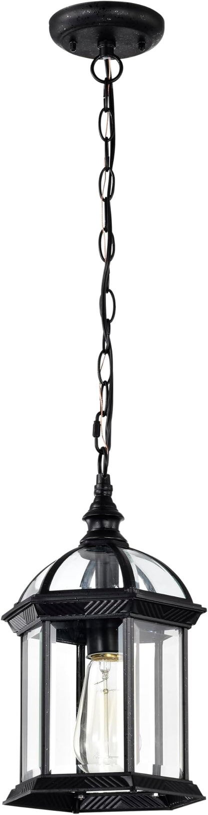 Nuvo Lighting 60/4979 Traditional One Light Hanging Lantern from Boxwood collection in Black finish