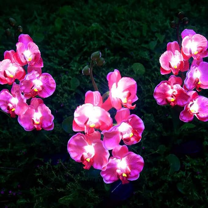 Aolyty Solar Garden Lights Outdoor, IP65 Waterproof Solar Stake Lights Butterfly Orchid Flowers Lights for Lawn Patio Backyard Landscape Party Decorative (Pink, 2 Pack)