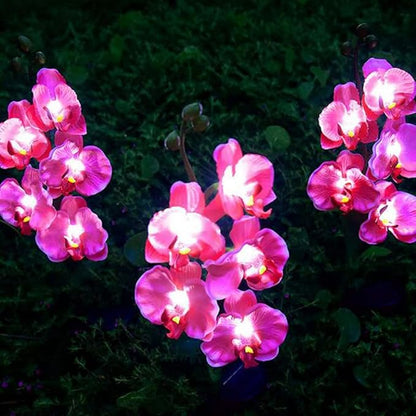 Aolyty Solar Garden Lights Outdoor, IP65 Waterproof Solar Stake Lights Butterfly Orchid Flowers Lights for Lawn Patio Backyard Landscape Party Decorative (Pink, 2 Pack)