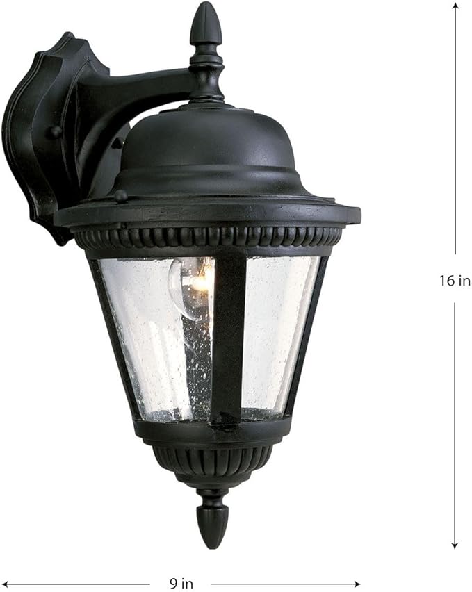 Progress Lighting P5863-31 1-Light Cast Wall Lantern with Clear Seeded Glass, Textured Black