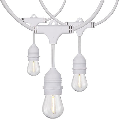 Satco S8038 LED Indoor/Outdoor String Lights, White, S14 Bulbs, 24 Feet (Pack of 1)