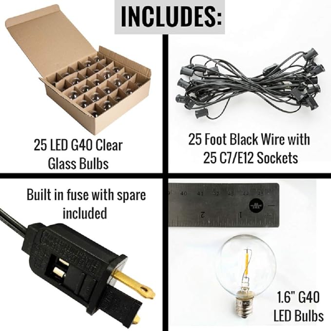 Hometown Evolution, Inc. G40 LED Warm White Outdoor Patio String Lights with 0.6 Watt Bulbs (G40 LED Filament - Black Wire, 25 ft)