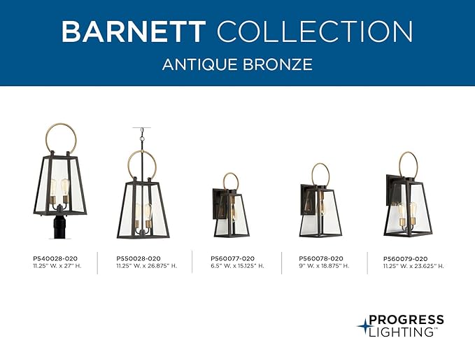 Progress Lighting P540028-020 Barnett Outdoor, Bronze | Lumora