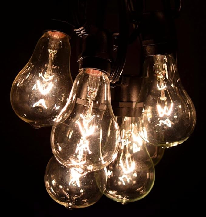 Hometown Evolution, Inc. Commercial Grade Vintage Edison Outdoor String Lights (PS50 Clear - Commercial Black Wire | Lumora