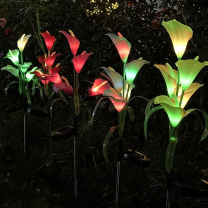 Aolyty Solar Garden Lights Outdoor Decor, Multi-Color Changing LED Solar Calla Lily Flower IP65 Waterpoof Landscape Lghting for Lawn Garden Yard Pathway Decoration (Purple, 2 Pack)