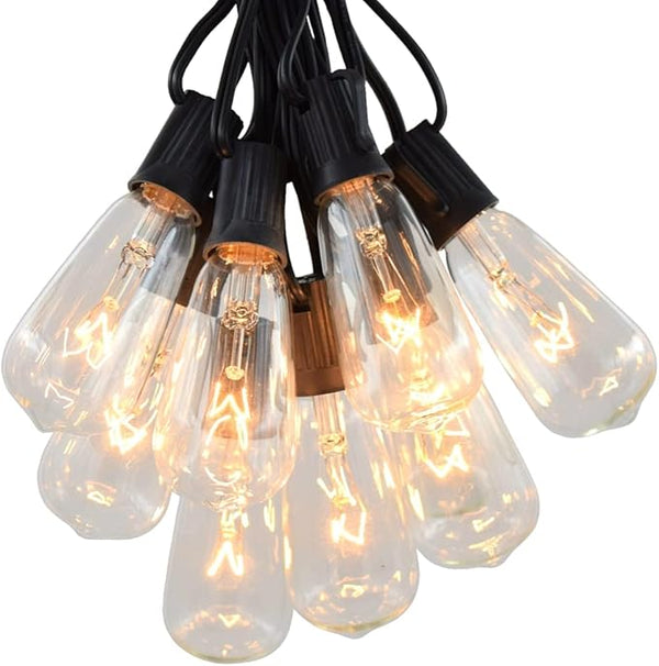 Hometown Evolution, Inc. Vintage Edison Outdoor String Lights (ST40 Clear - Black Wire, 25 ft) | Lumora