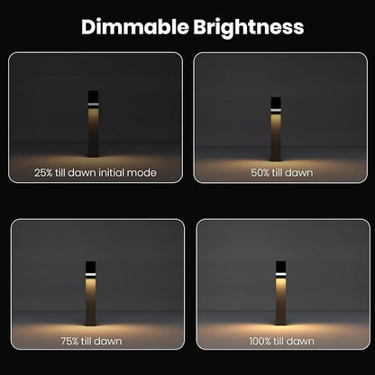 Solar Lights Outdoor for House Sign, Dimmable Solar Pathway Lights