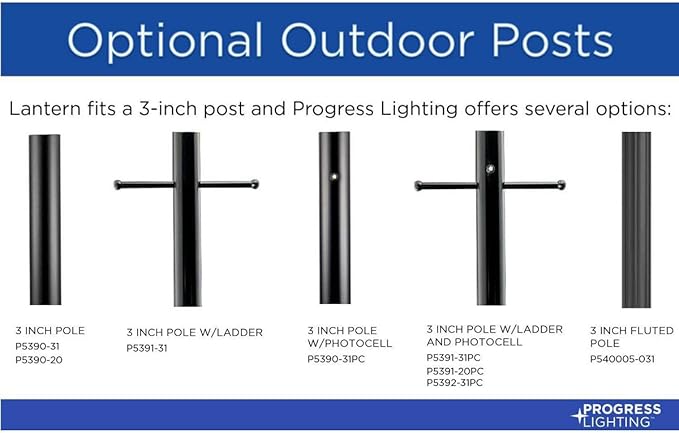 Progress Lighting P540028-020 Barnett Outdoor, Bronze | Lumora