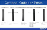 Progress Lighting P540028-020 Barnett Outdoor, Bronze | Lumora