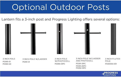 Progress Lighting P540028-020 Barnett Outdoor, Bronze