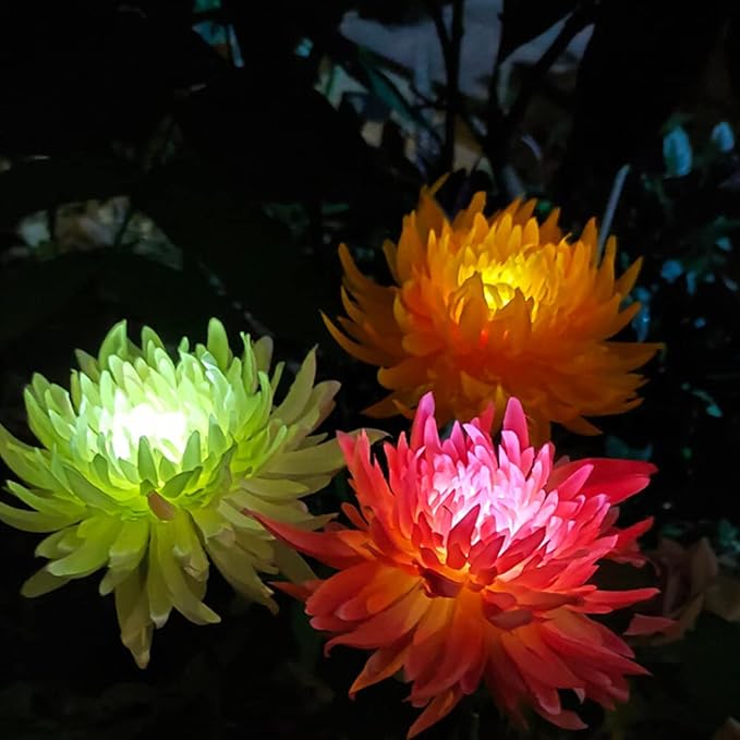 4 Pack Outdoor Solar Lights, Solar Garden Lights with 4 Bigger Chrysanthemum Flowers, Waterproof Outdoor Lights - Bigger Solar Panel for Garden Patio Yard Pathway (4pack Pink)