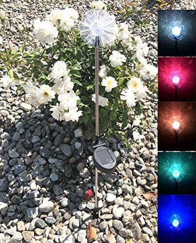 Solar Garden Stake Lights with Color Changing LED or Regular White LED Landscape Path Lights (Set of 2) (Hydrangea | Lumora