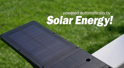 Jokari Solar Powered Motion Activated Walkway and Sign Illuminators 2 Pack. Efficiently Light Up Paths or Signage With Eco-Friendly Solar Energy and Intelligent Motion Sensing to Keep Your Family Safe