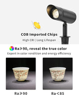 Outdoor Landscape Lighting, Low Voltage LED Adjustable Beam Spotlight(2700K), IP65 Waterproof, with Quick | Lumora