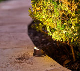 VOLT 12V 1W 2200K Candlelight IP67 Watertight 100 Lumen Solid Brass BuddyPro LED Puck Light (Shielded) for Deck | Lumora