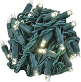 Novelty Lights 25ft 50 LED Warm White Christmas Lights Outdoor/Indoor, 6" Spacing, Green Wire String Lights for | Lumora