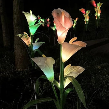 Aolyty Solar Garden Lights Outdoor Multi-Color Changing LED Solar Calla Lily Light IP65 Waterpoof Flower Lights for Patio, Garden, Lawn, Yard Pathway Decorative (Purple, 2 Pack)