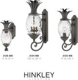 Hinkley Plantation Large Wall Mount Outdoor Lantern - Pineapple Motif, 1-Light, Clear Optic Glass, Aluminum | Lumora