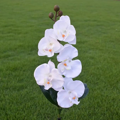 Flower Solar Lights Outdoor 2 Pack Waterproof Solar Garden Lights Phalaenopsis Flowers, Color-Changing Outdoor Lights for Patio, Back Yard, Garden, Lawn, Pathway