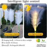 HUSSAIN Solar Garden Fairy Light, Reed Fiber Optic Light, Outdoor Solar Garden Lights Waterproof LED for Patio Yard | Lumora