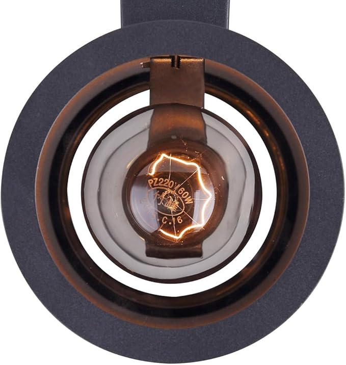Canarm Baylyn 2-Light Outdoor Wall Sconce, Black Finish Up/Down Light, Easy Install Durable Wet-Rated Outdoor Lighting for Porch, Patio, Entryway or Garden