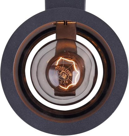 Canarm Baylyn 2-Light Outdoor Wall Sconce, Black Finish Up/Down Light, Easy Install Durable Wet-Rated Outdoor Lighting for Porch, Patio, Entryway or Garden