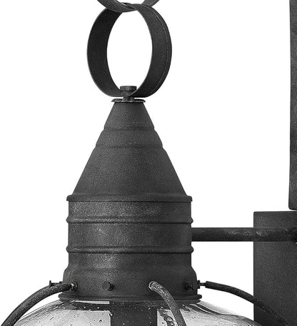 Hinkley Cape Cod 2205DZ Large Outdoor Wall Mount Onion Lantern - Clear Seedy Glass, Wet Rated - Aged Zinc