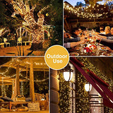 JMEXSUSS 500 LED Warm White Christmas Tree Lights Plug in