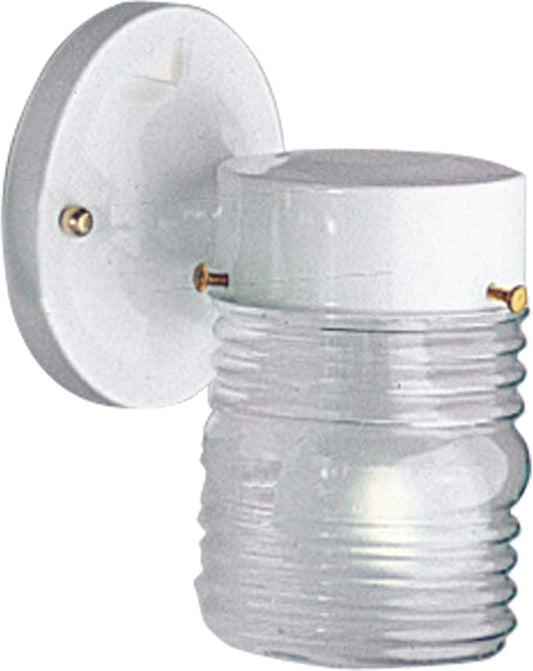 Progress Lighting 1-Light Clear Glass Traditional Outdoor Wall Lantern Light, Outdoor, P5602-30, White