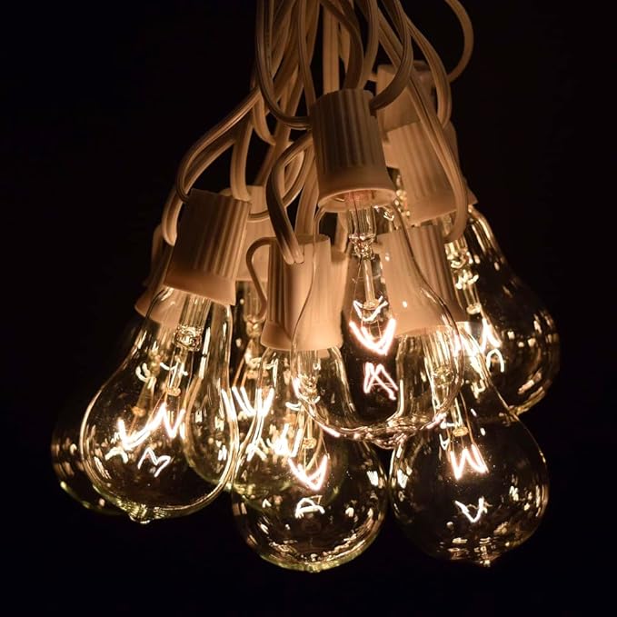 Hometown Evolution, Inc. Vintage Edison Outdoor String Lights (PS50 Clear - White Wire, 100 ft)