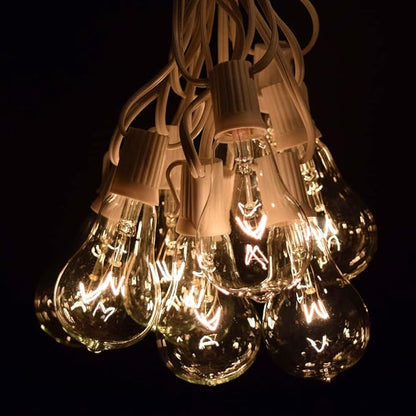 Hometown Evolution, Inc. Vintage Edison Outdoor String Lights (PS50 Clear - White Wire, 100 ft)