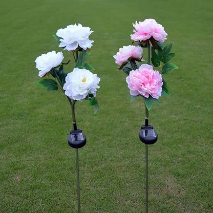 2 Pack Solar Garden Stake Lights, Outdoor Solar Tulip Flower Lights with 6 Rose Flowers, LED Rose Solar Powered Lights for Patio, Lawn, Garden, Yard Decoration