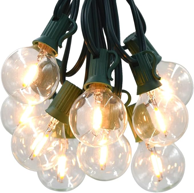 Hometown Evolution, Inc. G40 LED Warm White Outdoor Patio String Lights with 0.6 Watt Bulbs (G40 LED Filament - Green Wire, 100 ft)