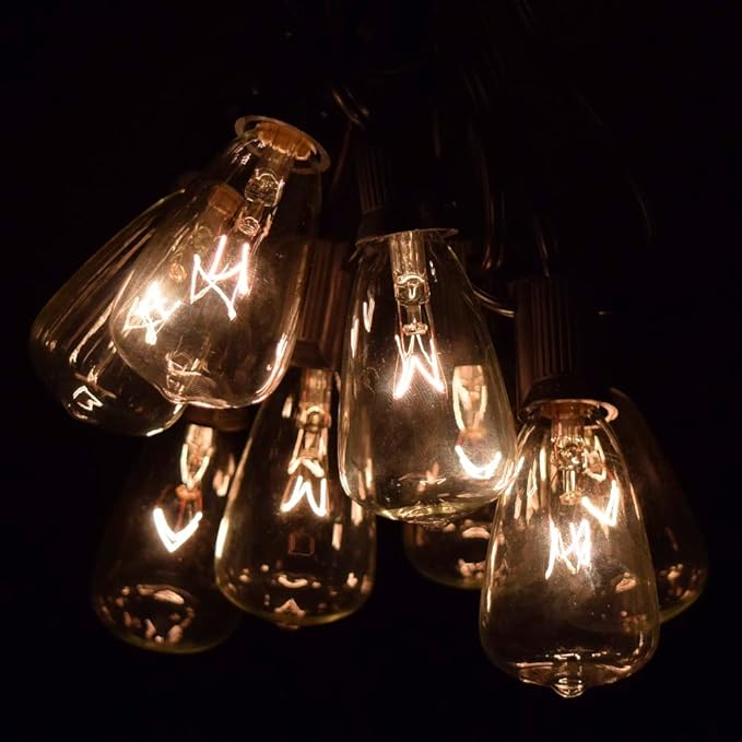 Hometown Evolution, Inc. Vintage Outdoor Patio String Lights with ST11 Clear Light Bulbs (Black Wire, 25 ft)