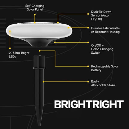 Colorize Colorful Pathway Solar Light (6 Lights) Decorative Weatherproof Auto On/Off Outdoor Lights - Decorate Your Garden, Landscape, Patio, Pool, Yard with Ultra-Bright LED Light