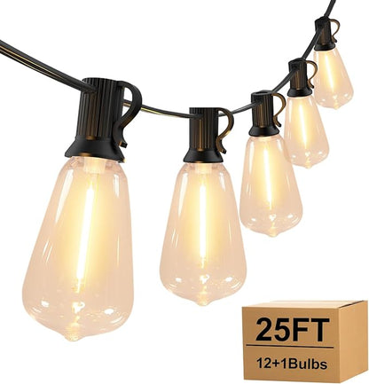Outdoor String Lights with ST38 Clear Globe Bulbs, Black Cord, Waterproof LED Edison Filament Decorative Lighting for Patio, Garden, Backyard (ST38 Bulbs, 25FT)