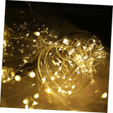 Ciieeo 1Pc USB Rechargeable Star String Lights Remote Control Garden Lights for Home Party Festival and Birthday | Lumora