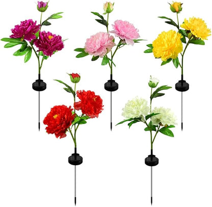 5 Sets Solar Peony Flower Lights 2pcs Waterproof Garden Outdoor Lights Led Decorative Flowers Stake Light for Home Backyard Pathway Patio Yard Walkway Decoration (